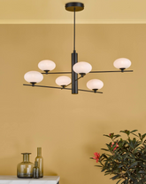 Jasper 6 Light Pendant Light Black